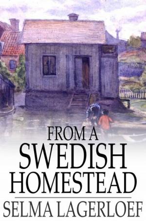 Cover of the book From a Swedish Homestead by Ian Hay
