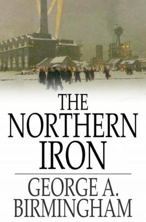 bigCover of the book The Northern Iron by 