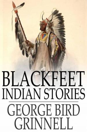 Book cover of Blackfeet Indian Stories