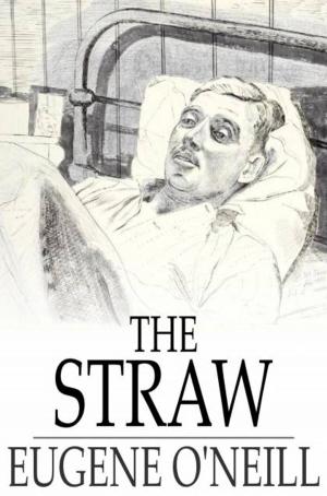 Cover of the book The Straw by Edward Stratemeyer