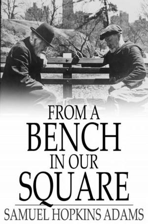 Cover of the book From a Bench in Our Square by James C. Welsh