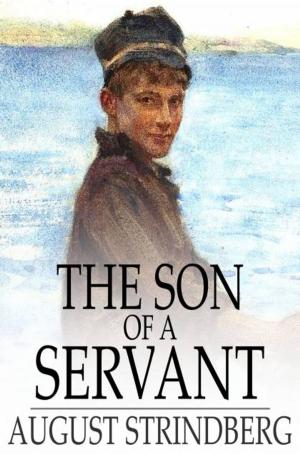Cover of the book The Son of a Servant by D. Starke