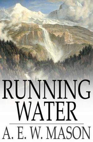 Cover of the book Running Water by Ted Cross