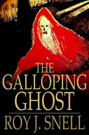bigCover of the book The Galloping Ghost by 