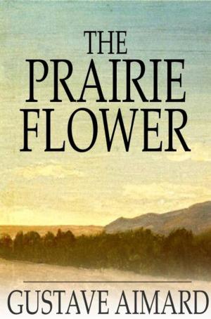 Book cover of The Prairie Flower