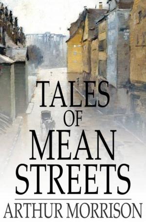 Cover of the book Tales of Mean Streets by 