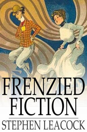 bigCover of the book Frenzied Fiction by 