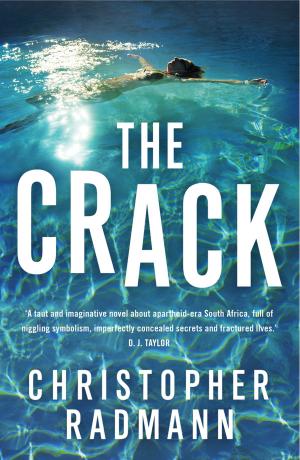 Cover of the book The Crack by Laurie Schneider Adams