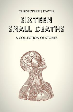 Cover of the book Sixteen Small Deaths: A Collection of Stories by Luke Eastwood