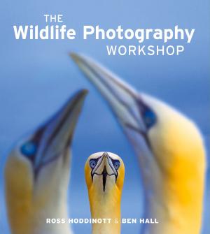 Cover of The Wildlife Photography Workshop