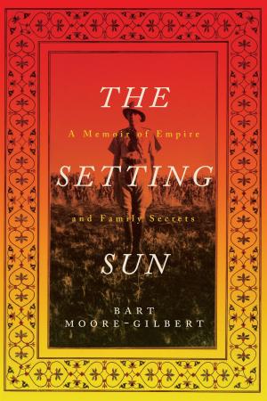 Cover of the book The Setting Sun by Jodi Dean