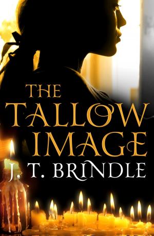 Cover of the book The Tallow Image by Jane Lythell