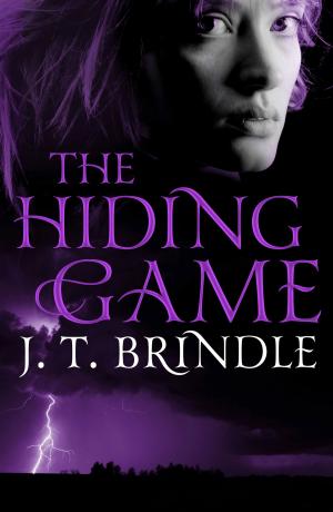 Cover of the book The Hiding Game by Diney Costeloe