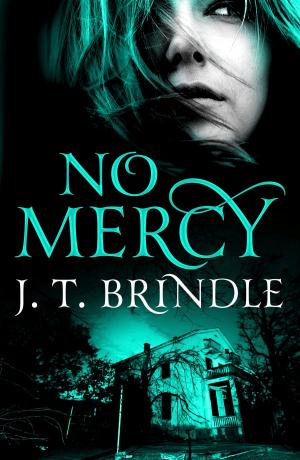 Cover of the book No Mercy by Judith O'Reilly