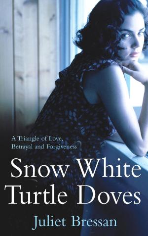 Cover of the book Snow White Turtle Doves by Geraldine O'Neill