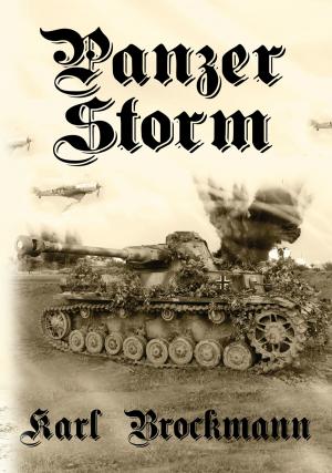 Cover of the book Panzer Storm by James McCarthy