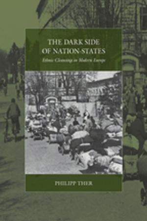 Cover of the book The Dark Side of Nation-States by Евгений Габович