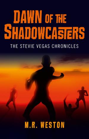 Cover of the book Dawn of the Shadowcasters by Judy Hall