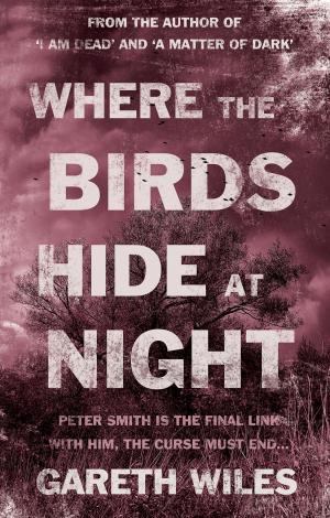 Cover of the book Where The Birds Hide At Night by Wendy Metcalfe