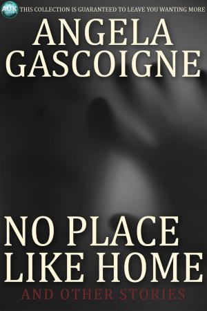 Cover of the book No Place Like Home by Jack Goldstein