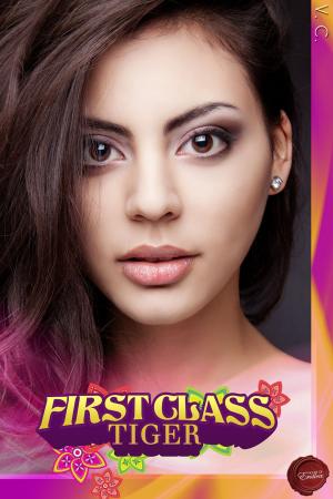 Cover of the book First Class Tiger by Q. K. Philander Doesticks
