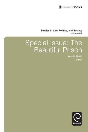 Cover of the book Special Issue by Marcia Texler Segal, Vasilikie Demos