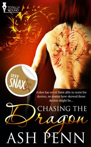 Cover of the book Chasing the Dragon by Tamsin Flowers