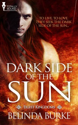 Cover of the book Dark Side of the Sun by Trina Lane