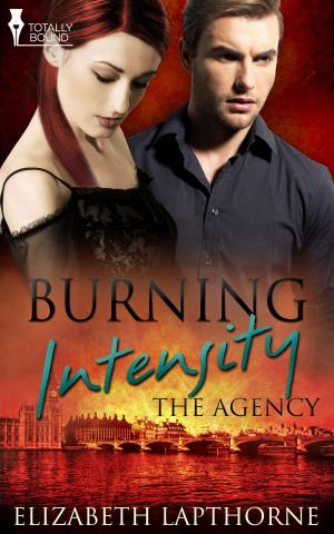 Cover of the book Burning Intensity by Ioanna Skarlatou