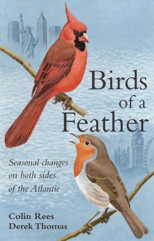 Book cover of Birds of a Feather