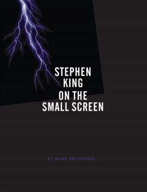 Book cover of Stephen King on the Small Screen
