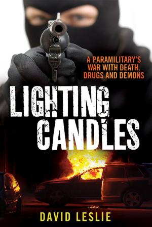 Cover of the book Lighting Candles by Chris Robinson