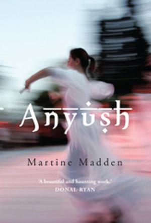 Cover of the book Anyush by Brian Gallagher