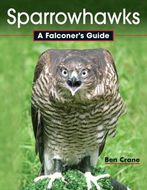 bigCover of the book Sparrowhawks by 