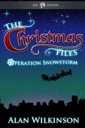 Cover of the book The Christmas Files by Peter Broadbent