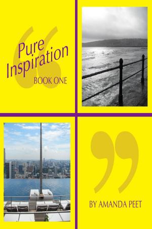 Cover of the book Pure Inspiration - Book 1 by Jack Goldstein
