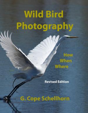 Book cover of Wild Bird Photography: How, When, Where