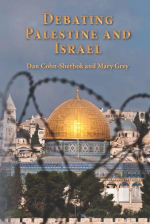 Book cover of Debating Palestine and Israel