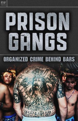 Cover of the book Prison Gangs by Jennifer Davies