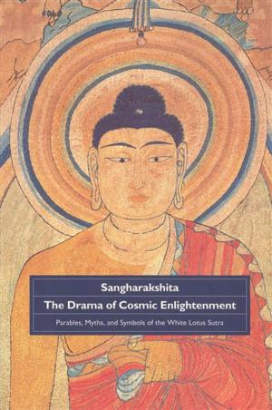 Cover of the book Drama of Cosmic Enlightenment by Andrew Skilton