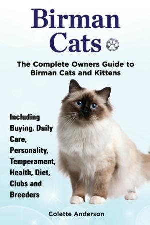 bigCover of the book Birman Cats, The Complete Owners Guide to Birman Cats and Kittens Including Buying, Daily Care, Personality, Temperament, Health, Diet, Clubs and Breeders by 