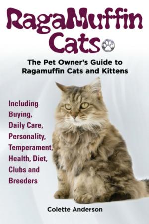 Cover of RagaMuffin Cats, The Pet Owners Guide to Ragamuffin Cats and Kittens Including Buying, Daily Care, Personality, Temperament, Health, Diet, Clubs and Breeders