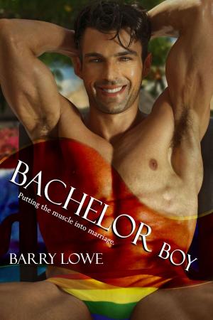 Cover of the book Bachelor Boy by Jimi Goninan