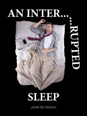 Cover of An Interrupted Sleep