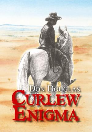 Cover of Curlew Enigma