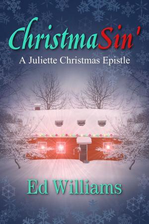 Cover of the book ChristmaSin' by Dan Ames