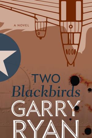 Cover of the book Two Blackbirds by John Deaconson