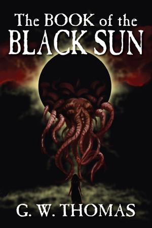 Cover of the book The Book of the Black Sun by Christina Channelle