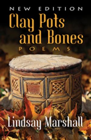 Cover of the book Clay Pots and Bones by Mats Melin, PhD