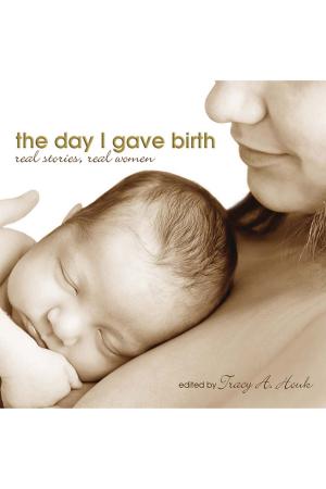 Cover of the book The Day I Gave Birth by Cheryl Chad